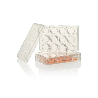 cplabsafety-2202607150510081340473