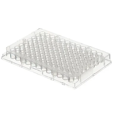 cplabsafety-2202607150513121341013
