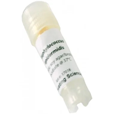 cplabsafety-320260712101138945005