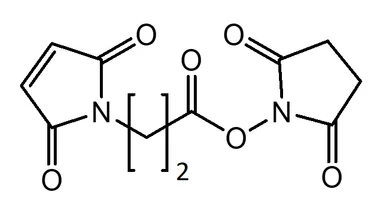 cplabsafety-320260712110748951363