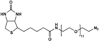 cplabsafety-320260712131420965119