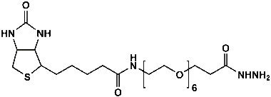 cplabsafety-320260712133026967151