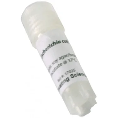 cplabsafety-320260712140908971168