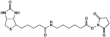 cplabsafety-320260712150755977133