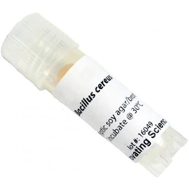 cplabsafety-3202607122255571026225