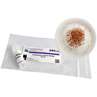cplabsafety-3202607130225511046285