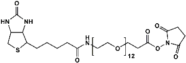 cplabsafety-3202607130307551049481