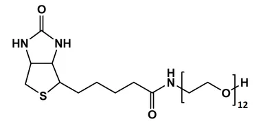 cplabsafety-3202607130314261050144