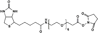 cplabsafety-3202607130439451056461