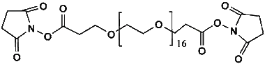 cplabsafety-3202607130627011062975