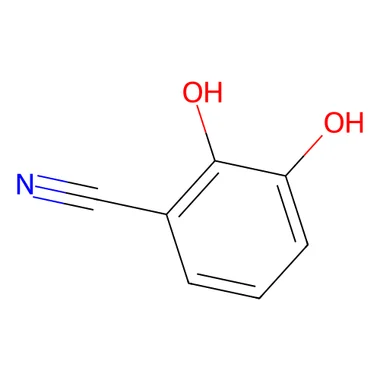 cplabsafety-3202607130705091064991