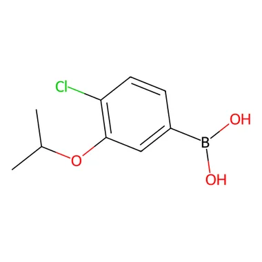 cplabsafety-3202607130714031065511