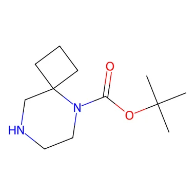 cplabsafety-3202607130725531066180