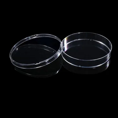 cplabsafety-3202607130753551067864