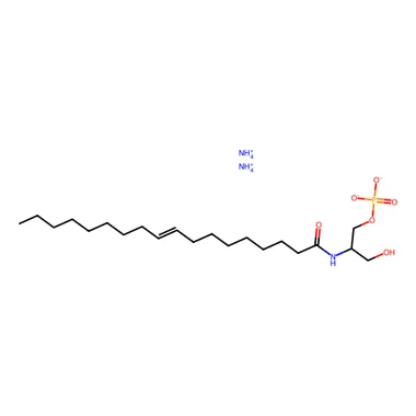 cplabsafety-3202607130754261067904
