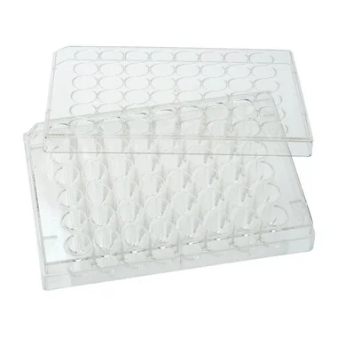 cplabsafety-3202607130810251069030