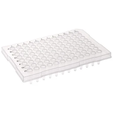 cplabsafety-3202607130820221069763