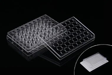 cplabsafety-3202607130852131071974