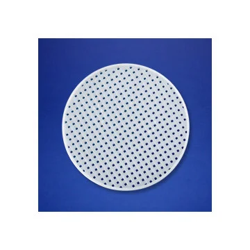 cplabsafety-3202607130854471072201