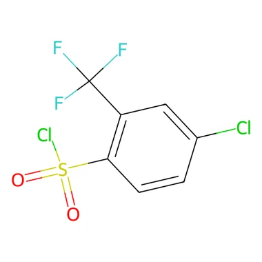 cplabsafety-3202607130858321072504