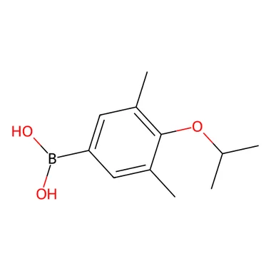 cplabsafety-3202607130923161074131