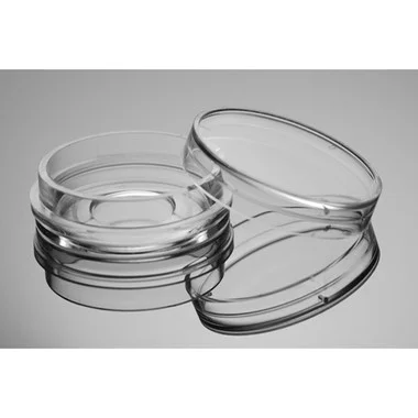 cplabsafety-3202607131035191077809