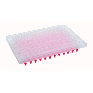 cplabsafety-3202607131052141079554