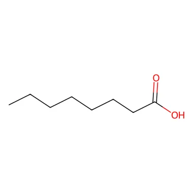 cplabsafety-3202607131054581079836