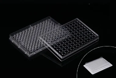 cplabsafety-3202607131103271080712