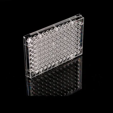 cplabsafety-3202607131104271080816
