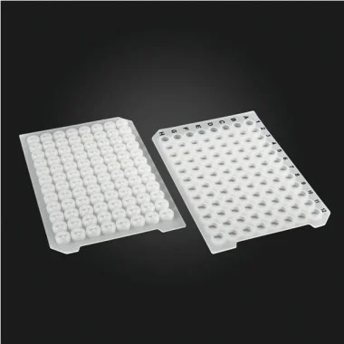 cplabsafety-3202607131104541080858