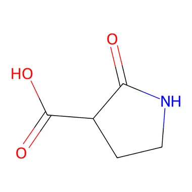 cplabsafety-3202607131110371081436