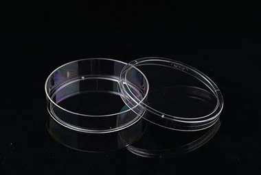 cplabsafety-3202607131118381082232