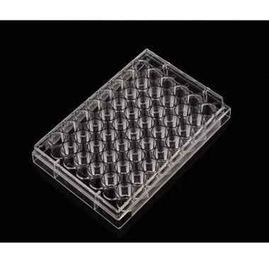 cplabsafety-3202607131137271084154