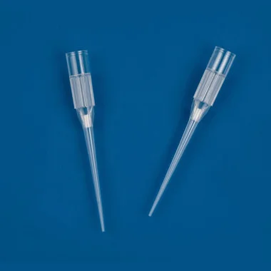 cplabsafety-3202607131155051085804