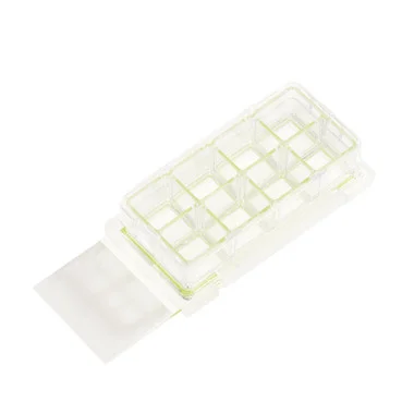 cplabsafety-3202607131202031086381