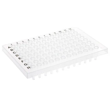 cplabsafety-3202607131219191087818