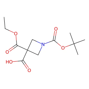cplabsafety-3202607131222011088037
