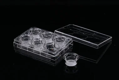 cplabsafety-3202607131225541088358