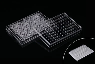 cplabsafety-3202607131228241088562