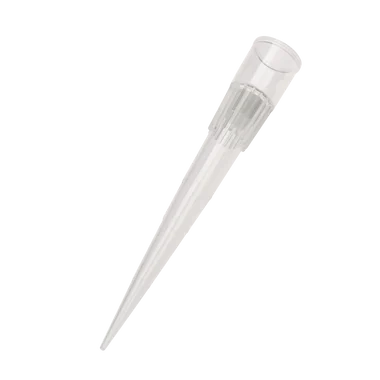 cplabsafety-3202607131234341089076