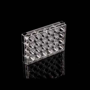 cplabsafety-3202607131249051090186