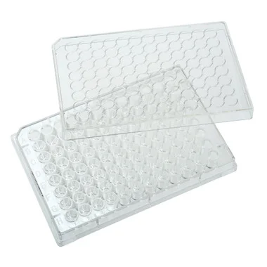 cplabsafety-3202607131307311091683