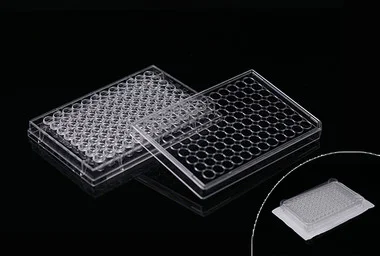 cplabsafety-3202607131401341096157
