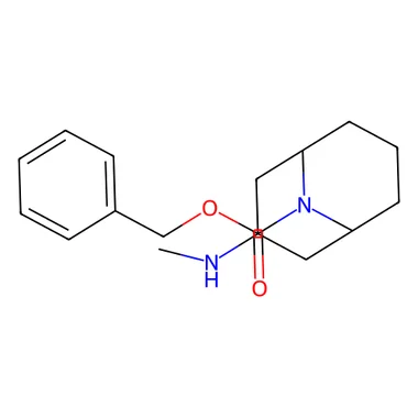 cplabsafety-3202607131406031096518