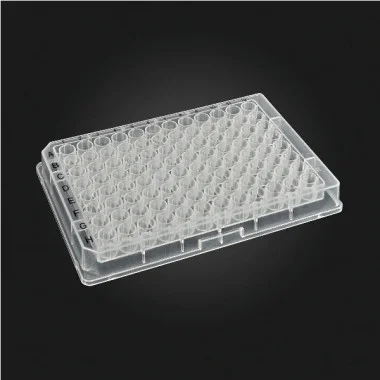 cplabsafety-3202607131410221096765