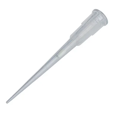 cplabsafety-3202607131411571096887