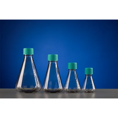 cplabsafety-3202607131415461097148