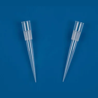 cplabsafety-3202607131422391097458