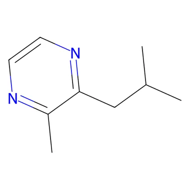 cplabsafety-3202607131444461098671
